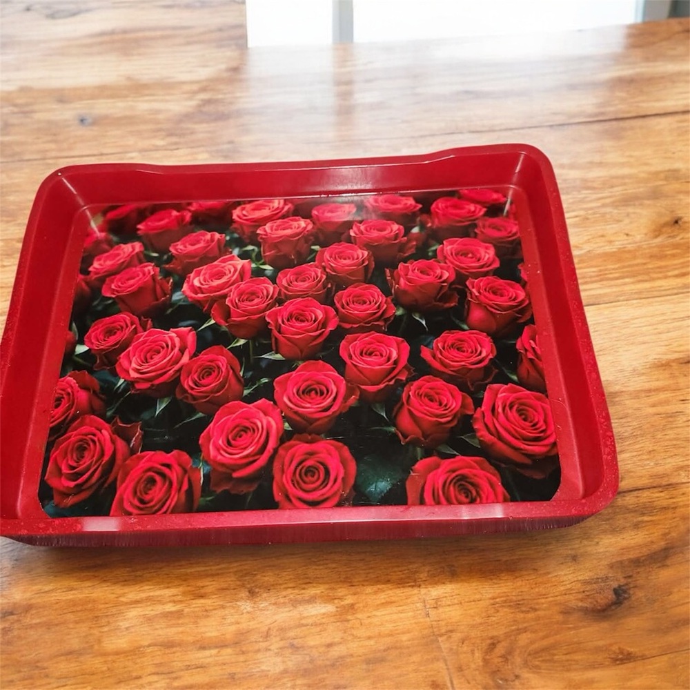NORE’S NOVELTIES Handcrafted Decorative Serving/ Vanity Tray “VALDAY 3”